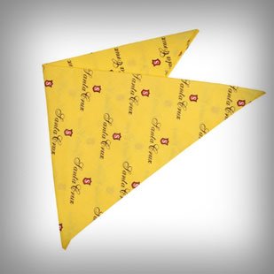 Bandana Şapkası