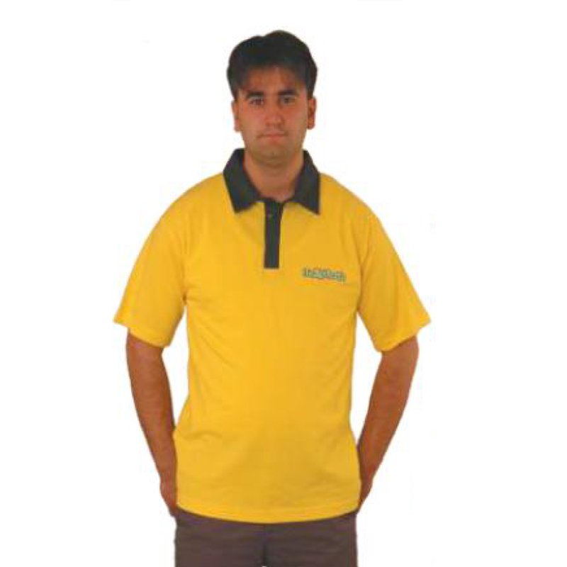 Lacost T Shirt